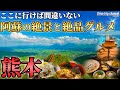 【熊本・阿蘇旅行】美味すぎるグルメと絶景しかない!るるぶのおすすめ10選に入ってそうな観光!ASO travel guide