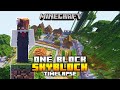 Minecraft OneBlock SkyBlock - Timelapse