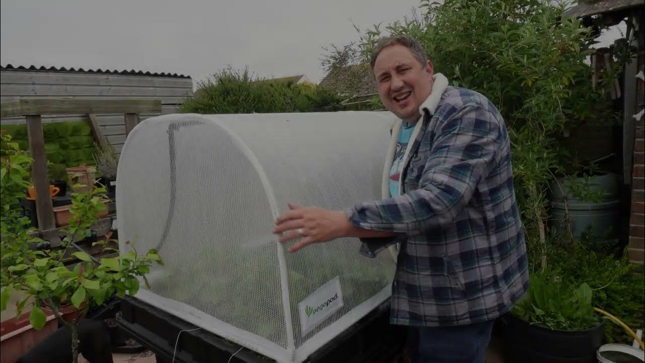 How much has grown in the large vegepod so far? YouTube