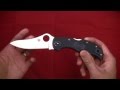 Knife Review: Spyderco Stretch
