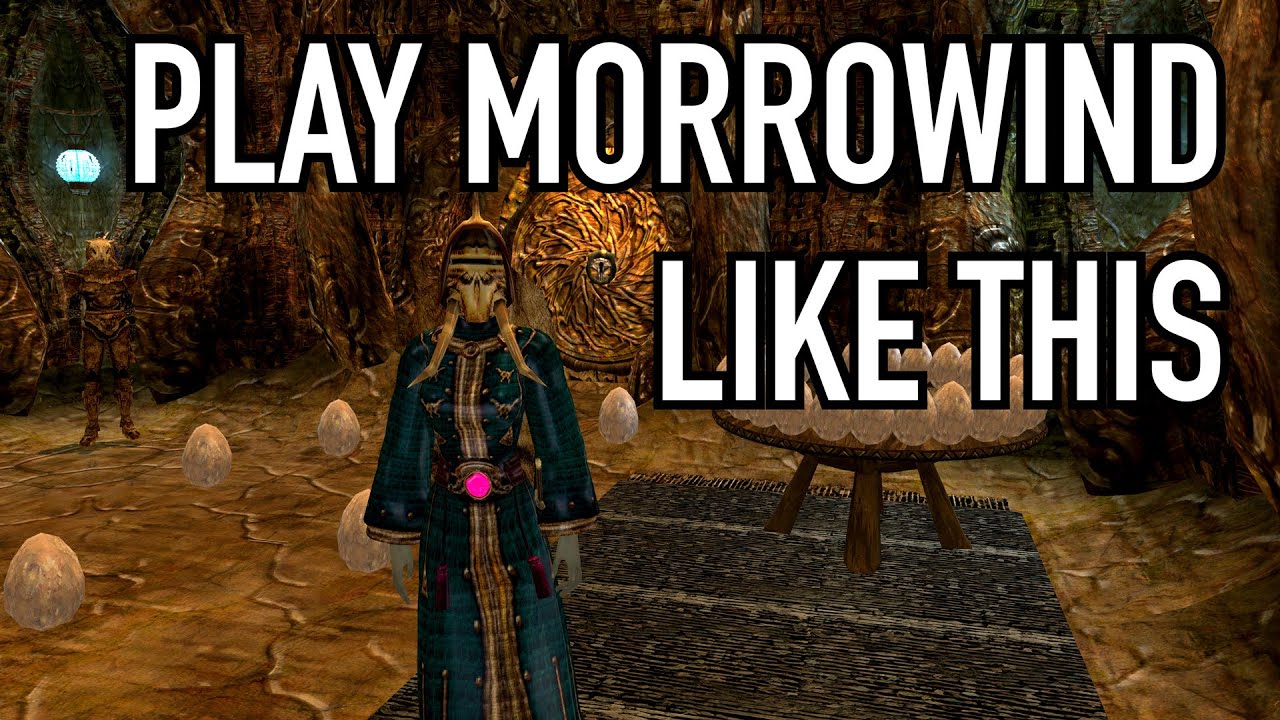 OpenMW is a fan-made project to crack into the Morrowind engine