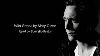 Wild Geese by Mary Oliver (read by Tom Hiddleston)
