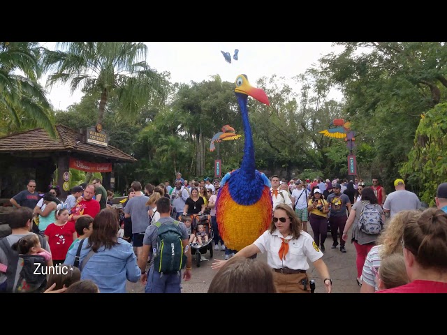 Kevin the bird from Pixar's Up at Animal Kingdom class=