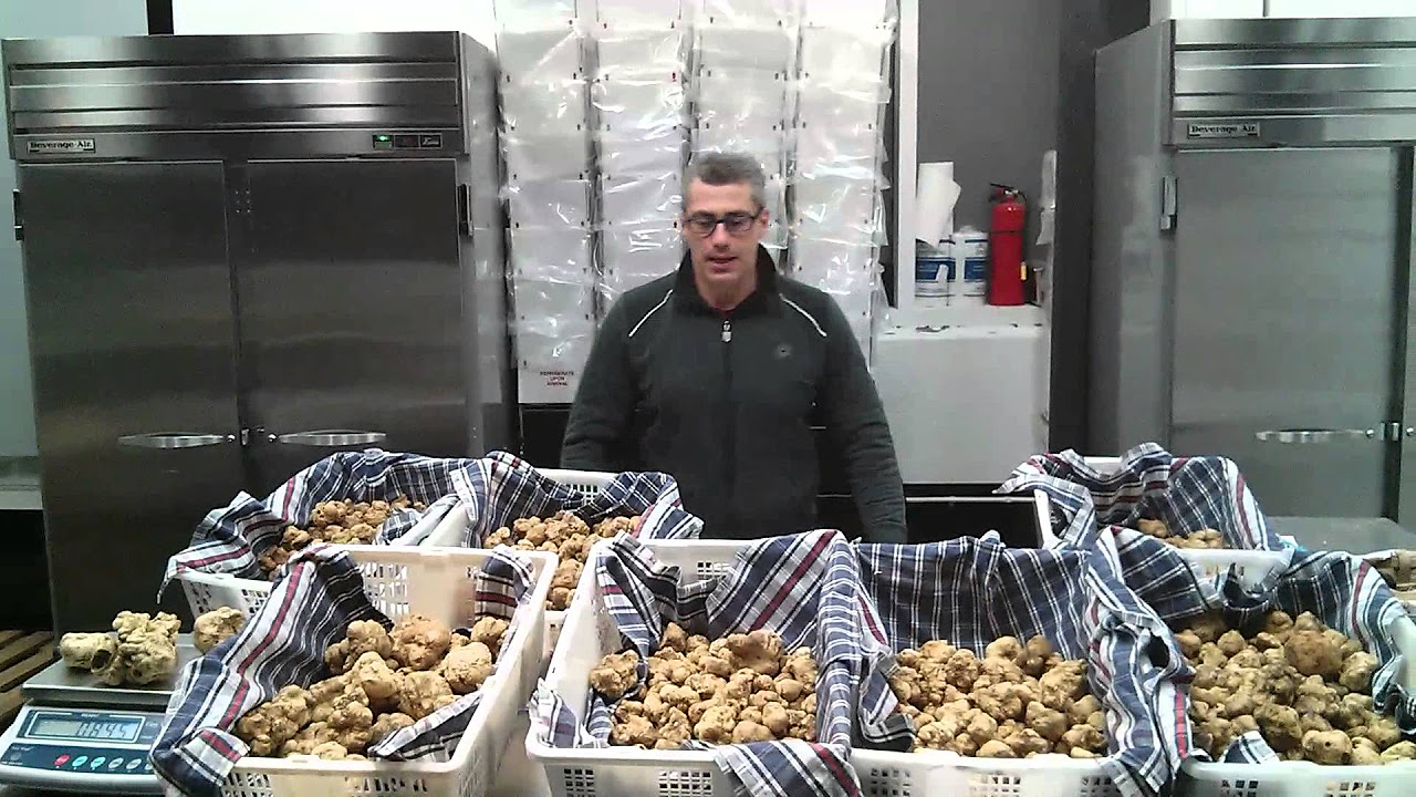 Fresh white truffles from Italy 12/9/12