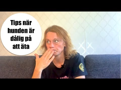 Video: Hur Man Tränar Din Hund Att äta Allt