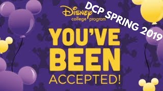 My DCP Application Process|| DCP Spring 2019