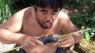 Primitive Technology - find cat fish - take roast eating delicious Primitive Technology - find cat fish - take roast eating delicious