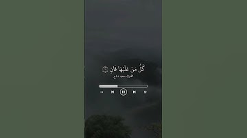 تلاوة بصوت القارئ /سعيد دباح