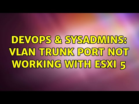 DevOps & SysAdmins: VLAN trunk port not working with ESXi 5