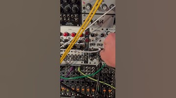 Intellijel audio I/o