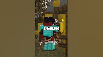 The BEST FPS Settings for Minecraft on Lunar Client 🚀