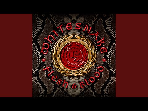 Putar If I Can't Have You - Whitesnake