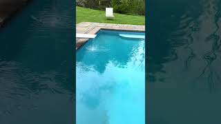 IMG 8062 IMG 8062