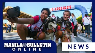 'Pet wellness walk' in Antipolo City as part of the celebration of International Pet Month