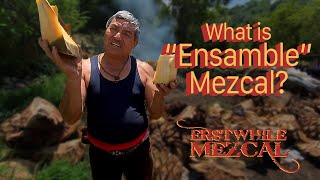 Mezcal 101 | What is Ensamble Mezcal?
