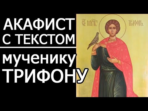 Акафист молитва мученику Трифону (помощь от алкоголизма и пьянства)