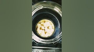 máquina de palomitas de Maíz