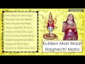 Nagnechi mata bhajan 2017  navratri special  shyam paliwal  audio  rajasthani songs