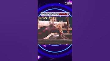 Khi mà trị độc của mấy con rắn độc bằng độc mấy con rắn #dongvat  #khampha  #kienthuc #thuvi