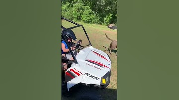 Polaris 170 Rzr. Blake’s First ride 5 years old