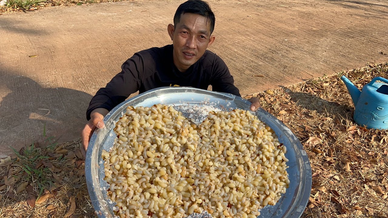 ตื่นเต้นสุดๆไข่มดแดงไข่ใหญ่แล้วอาหารตามฤดูกาลแหย่แต่ละรังเยอะมากๆ