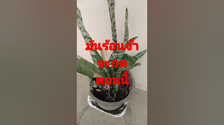 เอากี่แสนแม่คุณกดแล้ว