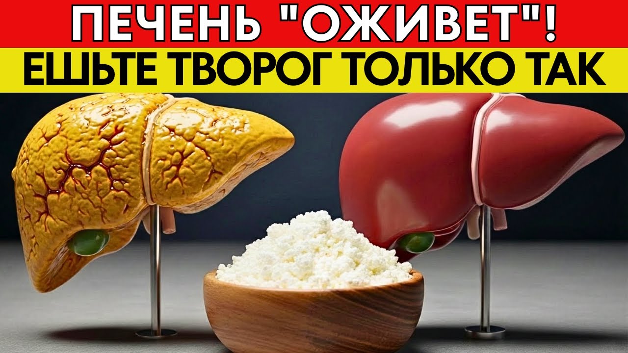 ПЕЧЕНЬ «ВЫБРОСИТ» ВЕСЬ ЖИР! Почему в СССР творог заставляли есть ТАК? Секрет врачей