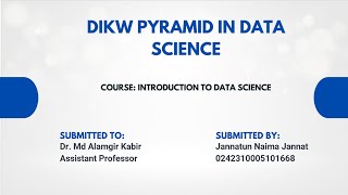 DIKW PYRAMID IN DATA SCIENCE || Presentation || Fall 2025