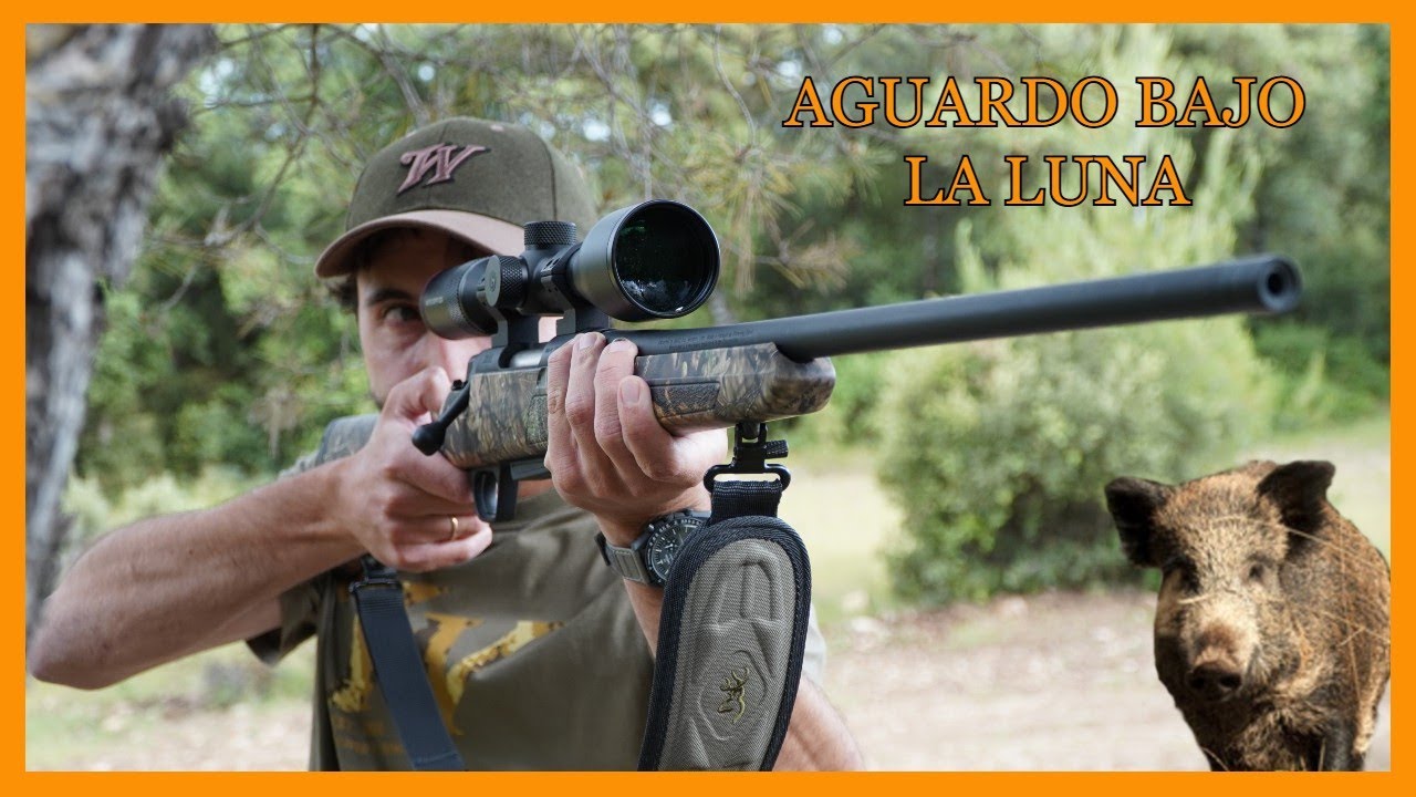 Esperas a jabalí VII- Jabalíes, mucho aire y una sorpresa final- Todo caza