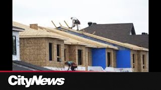 Toronto trying to spur real estate development amid soft market screenshot 1