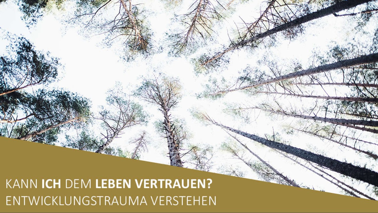 Entwicklungstrauma verstehen // Podcast #51