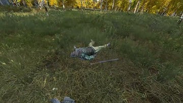 saving man from bear but killing him because hes ungrateful