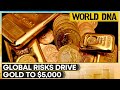 Gold Hits Record $4,381, Set for $5,000 in 2026 | WION World DNA