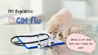 Everything You Need to Know About Cat Flu | Ask a Vet