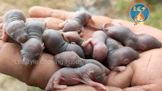 Wow! Resep Memasak & Makan Bayi Tikus di Desa - Bolehkah Makan Bayi Tikus Goreng?