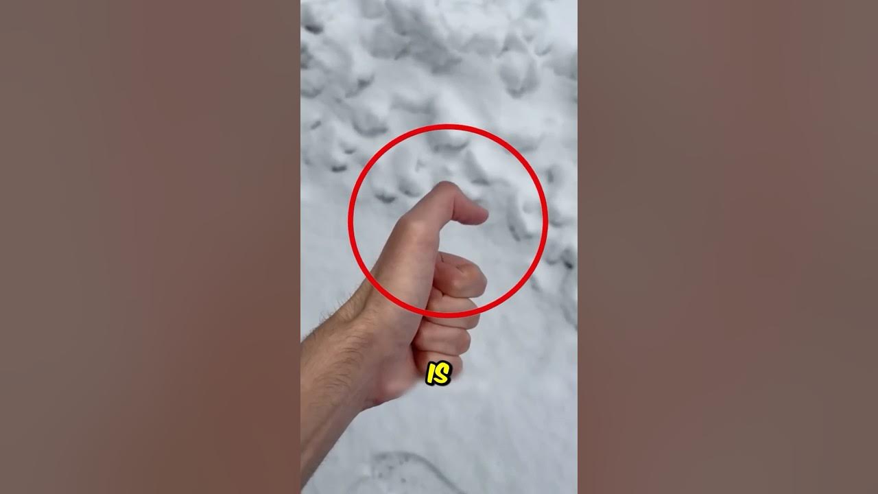 Why do they have such a long thumb? π± Why do they have such a long thumb? π±
