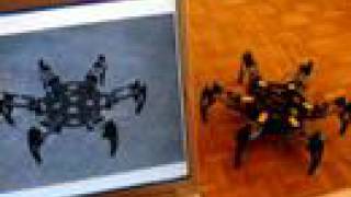 CH3-R Hexapod Simulation + Robot