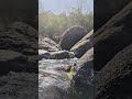 A Hidden Natural Pool #travel #nature #naturelovers #vlog #flimsbybipin
