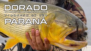 Golden | Dorado: Treasure of the Paraná  Fly Fishing in South America