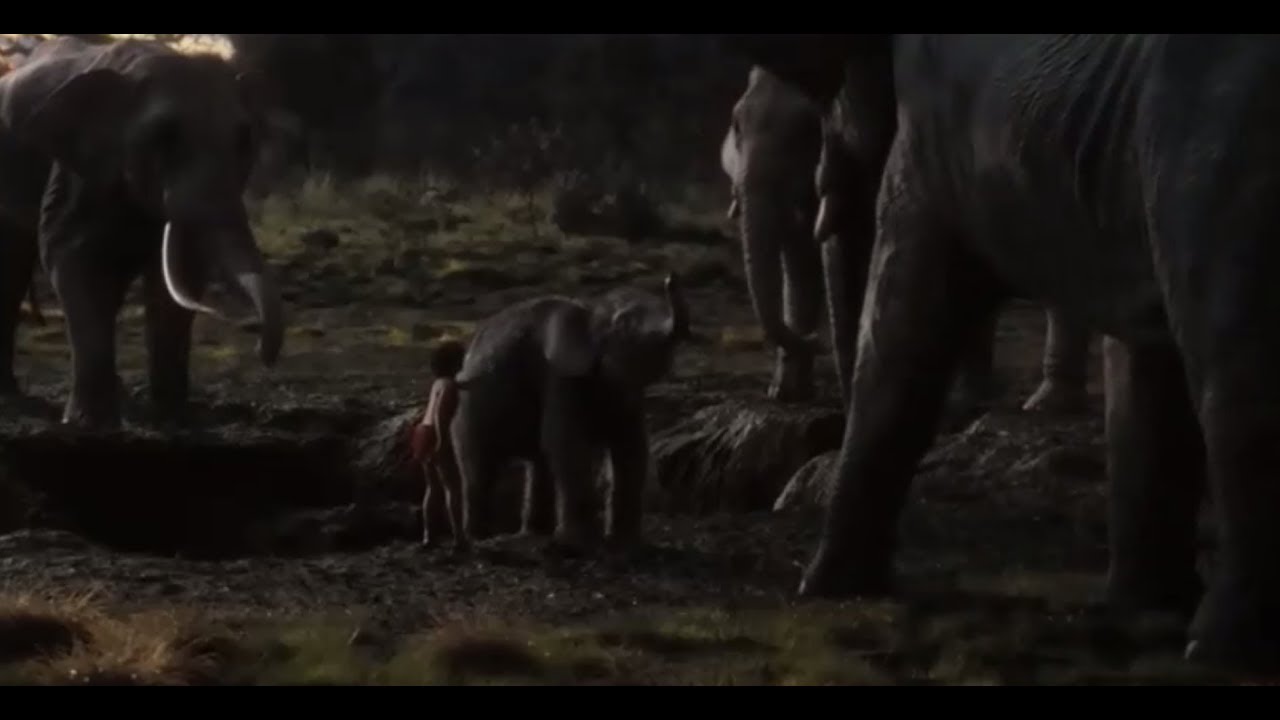 Mowgli Saves The Baby Elephant Scene, From The Jungle Book (2016) - Youtube