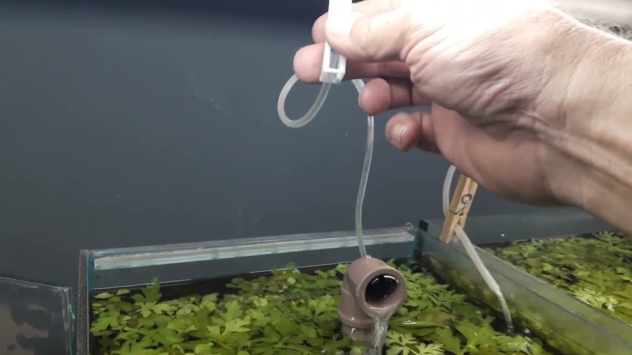 filtro biológico de fundo placas!!! coisa de velho será? venham conhecer 🤠🦈👍