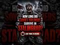 How Long Did Soviet Soldiers Survive in Stalingrad?