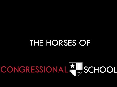 Horses of Congressional School