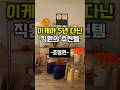 이케아 5년 다닌 직원의 추천템 조명편#shorts