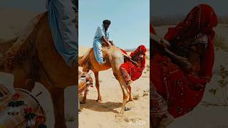 سحر الصحراء ✨ #Shorts #DesertMagic