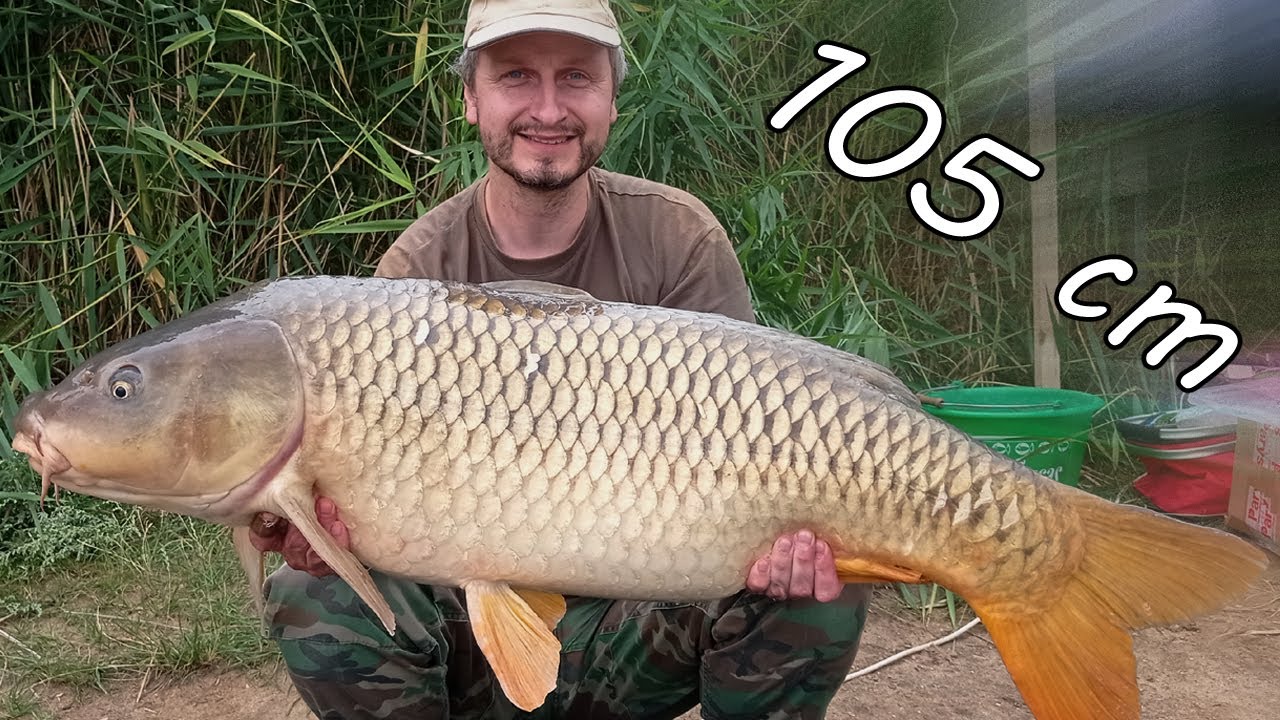 Letní rybaření jezero Velká Kopa - srpen 2023