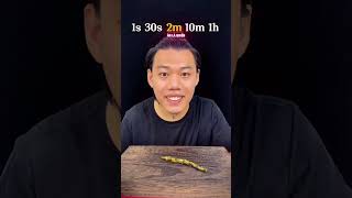 ĐẬU QUE 1s - 1h