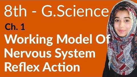 8th Class General Science - Ch 1 - Working Model of Nervous System - General Science 8th Class