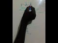 Equations with fractions gr 11 verification #maths #mathstricks #algebra