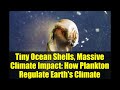 Tiny Ocean Shells, Massive Climate Impact: How Plankton Regulate Earth's Climate